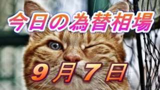 Thumbnail of post image 152