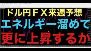 【ドル円FX予想最新】今週は一週間レンジになりましたが、果たして来週どのくらい値動きが出るか注目です！レンジの水平線が意識されるかと雇用統計にも注目していきたいです！