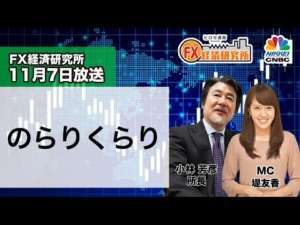 11月7日放送 『FX経済研究所』(のらりくらり)日経CNBC