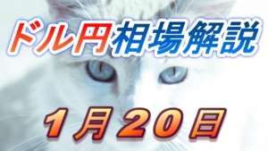 【TAKA FX】ドル円為替相場の前日の動きをチャートから解説。日経平均、NYダウ、金チャートも。1月20日