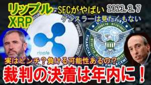 リップル(XRP)訴訟の結論が年内に遂に出る!?SECのせいでアメリカが仮想通貨後進国になる?仮想通貨を制するものが今後生き抜く!