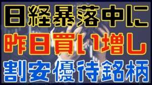 日経平均が暴落中に買い増した割安優待銘柄!