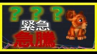 Thumbnail of post image 026