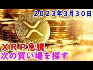 XRP(リップル)急騰 買場を探す ２０２３年３月３０日