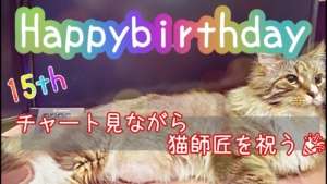 【FXライブ】　猫師匠を祝う枠　2023.06.10【次週考察】